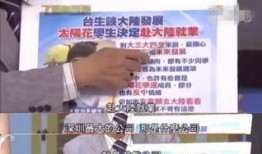 台湾张友骅爆料视频大全,揭秘台湾政坛风云录