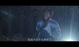 爱爆料的王大锤视频下载,独家视频下载背后的爆笑故事