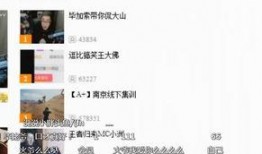 爆料老历的视频在线观看